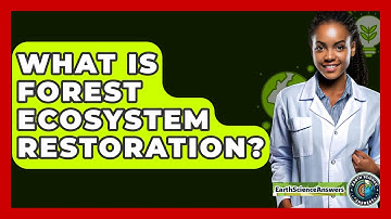 What Is Forest Ecosystem Restoration? - Earth Science Answers