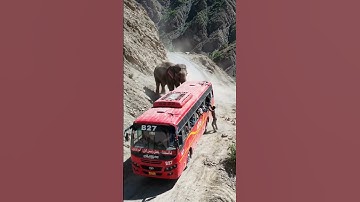 DRAMATIC Wild Elephant vs Bus: Near Miss on a Crumbling Mountain Road! | AI-Generated
