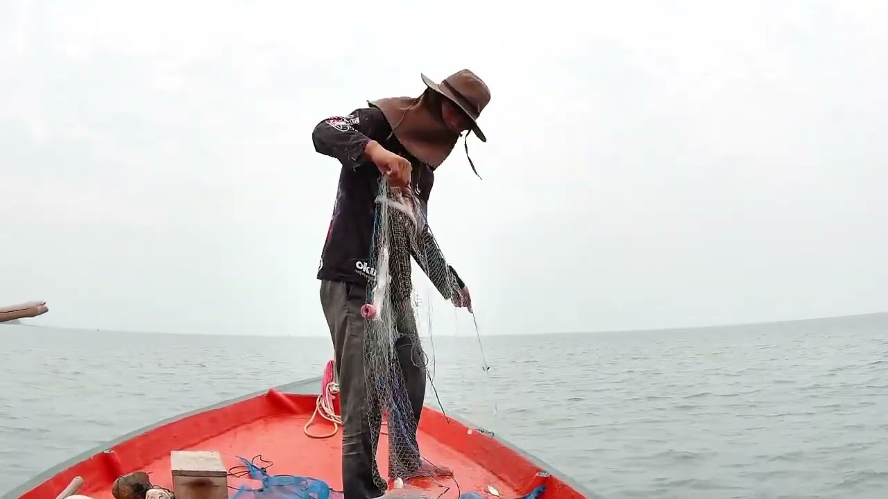 ep141.แบบนี้ก็หมานได้เห็นปลาตัวเกือบ100โล🤔🐟ที่ทะเลตราด