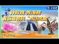 LIVE: Desert Cultivation in Xinjiang