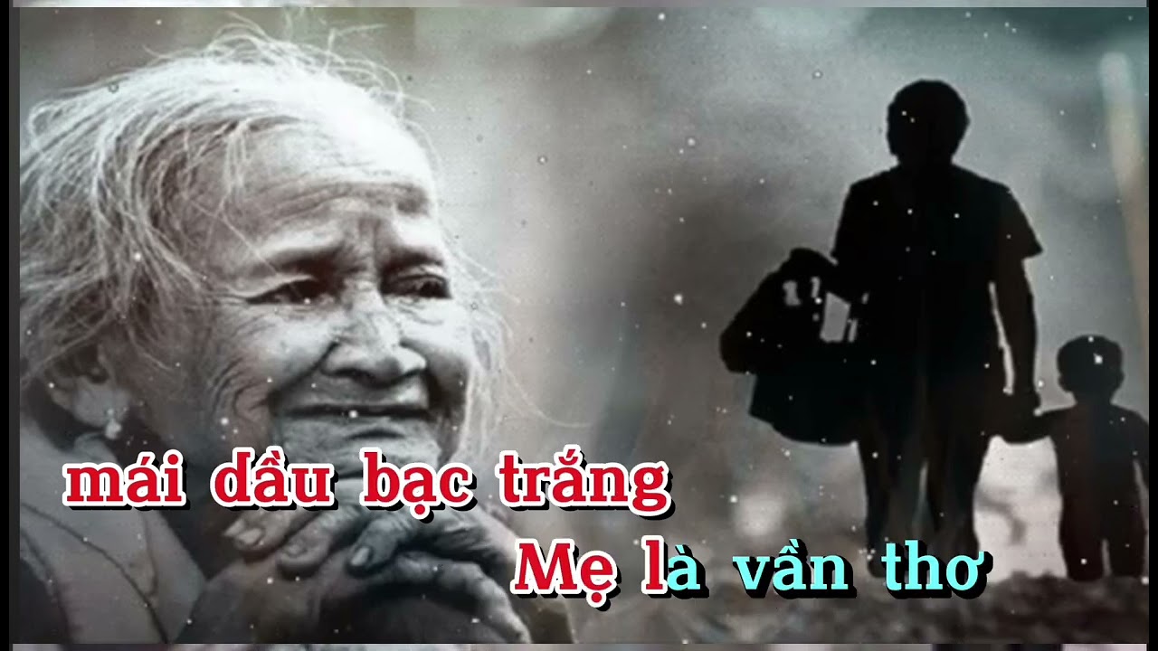 Karaoke: Cho Tôi Viết Về Mẹ / ton Nữ