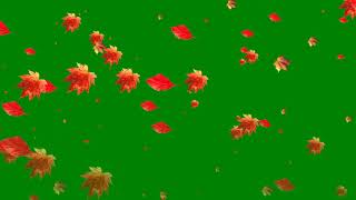 4K, Falling Leaves Green Screen, Autumn Leaves, green screen animation |chroma key | screen effects