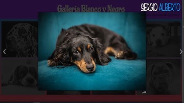 Cómo Realizar Efectos Gallería en Divi: Ejemplos #2020