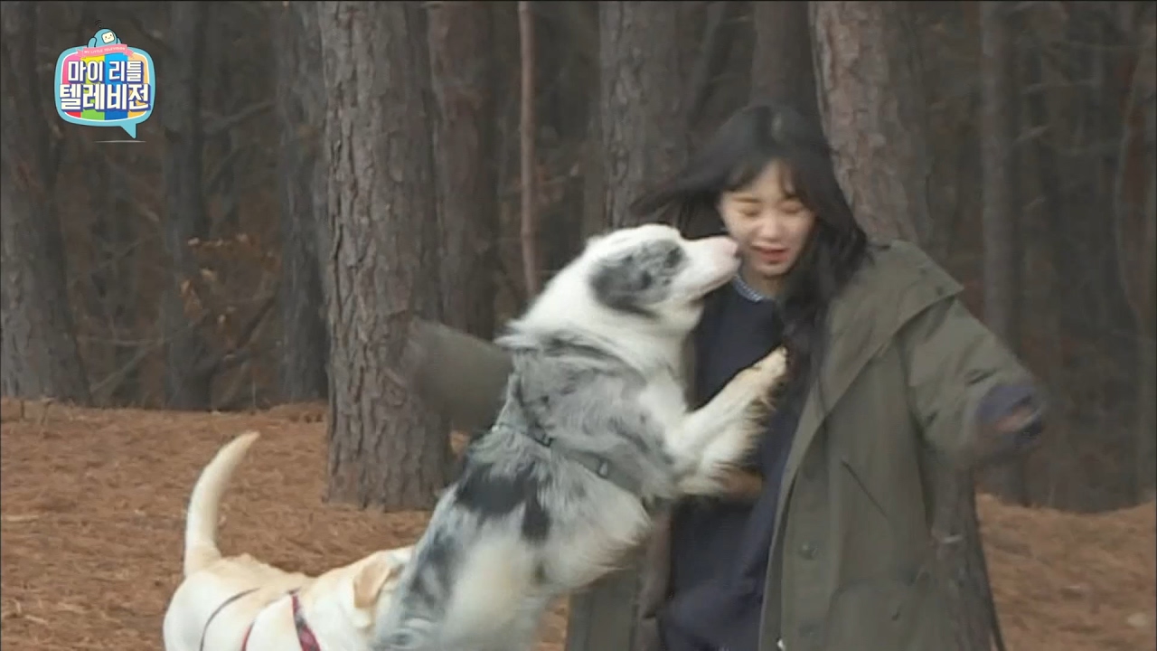 【TVPP】AOA - Mina received surprise kiss by dog, 민아, 강아지에게 기습뽀뽀 당하고 '멘붕' @MLT