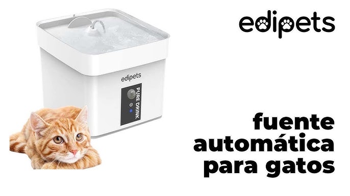 Como Hacer una Fuente de Agua para Gatos en 12 Pasos