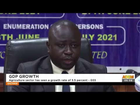 GDP Growth: Agriculture sector has seen a growth rate 55 percent - GSS- Adom TV (16-9-21) GDP Growth: Agriculture sector has seen a growth rate 55 percent - GSS- Adom TV (16-9-21)