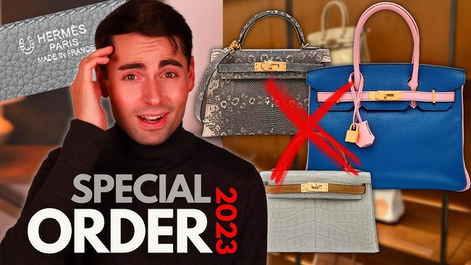 Hermès Shopping Vlog & Haul! My current Hermes bag Wishlist? 