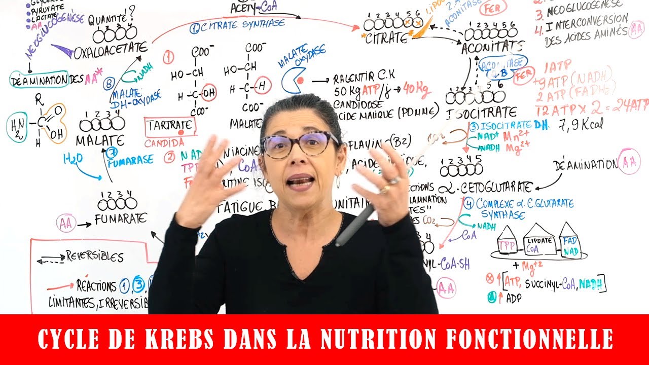 CYCLE DE KREBS DANS LA NUTRITION FONCTIONNELLE
