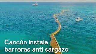 Instalan barreras anti sargazo en Cancún - Despierta con Loret