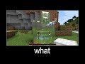 Minecraft wait what meme part 2 realistic minecraft Golem Transformating