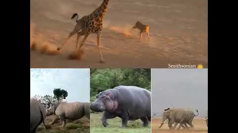 Unit 9 _Along the Nile ( part 3)