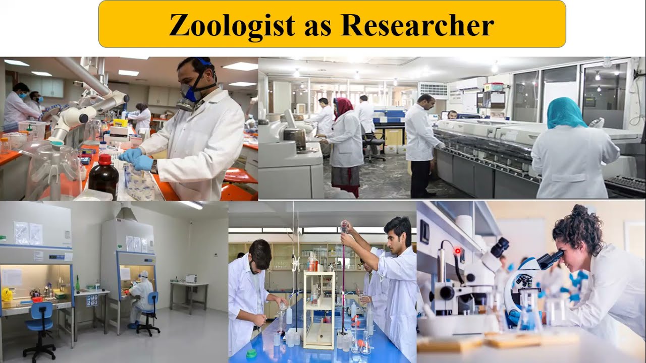 jobs after phd zoology