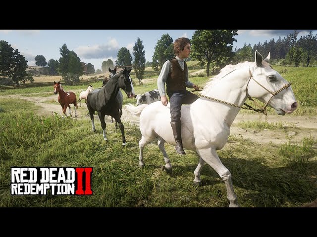 Red Dead Redemption 2: jogadores poderão conquistar a lealdade dos cavalos  e terão escolhas a fazer 