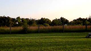 Savage Flux HP Backflip