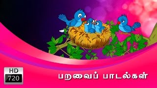 Birds Rhymes Collection in Tamil | பறவை பாடல்கள் | Cartoon | Animated Rhymes | Tamil Rhymes |