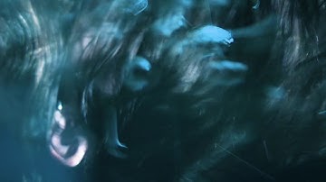 ’Flow’ – f5point6 (video)