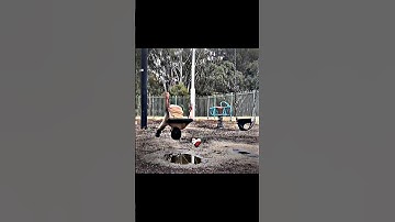 The boy fell into the muddy water 😂 funny video #shorts #comedy