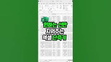 엑셀 치트키 단축키 원하는 선만 삭제하기 !