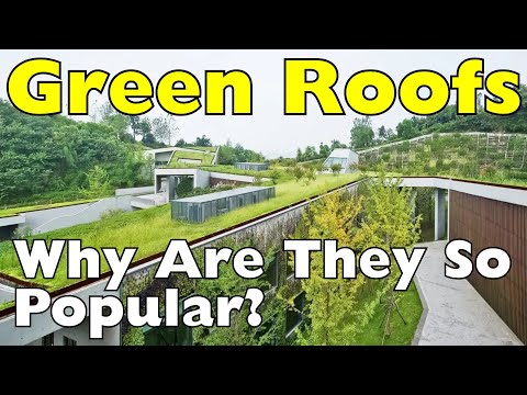 Green Living