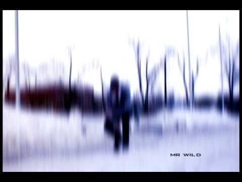 Mr. Wild | MDCrew | DnB Dance | One Day
