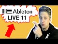 Ableton Live 11!!!!  - Initial Reaction