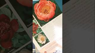 Februllage Day 11 is PLANT!  |  Full video coming Feb 27! #februllage