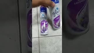 Glade Wild Lavender