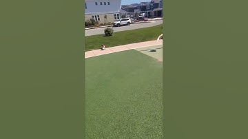 Arrma Granite Backflip Bash | Massive Fail #rccar #arrma #bash #send #shorts #fail #backflip