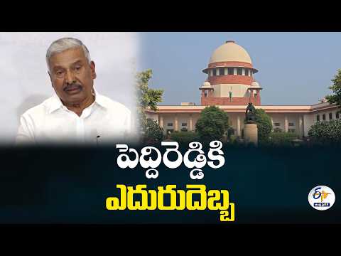 బుగ్గమఠం భూముల కేసులో పెద్దిరెడ్డికి సుప్రీంకోర్టులో చుక్కెదురు
