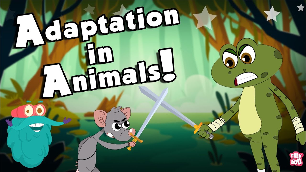 ⁣ANIMALS ADAPTATION | How Adaptation In Animals Work? | The Dr Binocs Show | Peekaboo Kidz