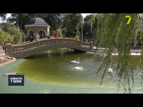 Как животные в Одесском зоопарке спасаются от жары