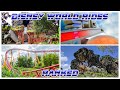 All rides at disney world ranked