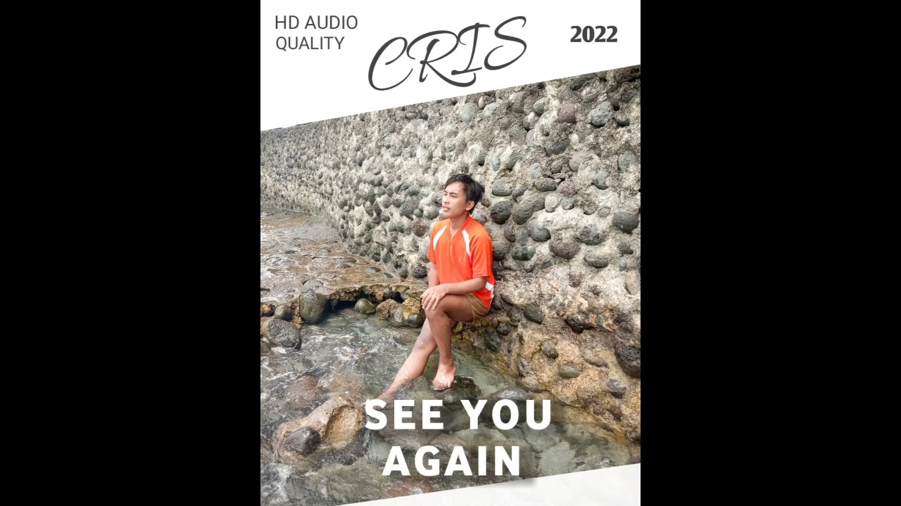 CRIS COVER - See You Again (Wiz Khalifa & Charlie Putt) | Audio