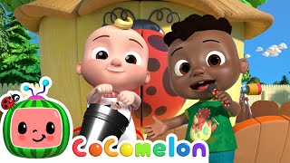 treehouse picnic with cody jj singalong with cody cocomelon kids songs