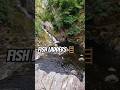 These Waterfalls Are a Death Trap — But the Salmon Keep Coming