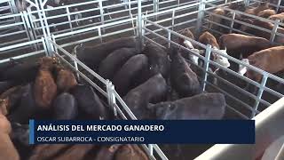 Canal Rural Noticias - Oscar Subarroca - Análisis del mercado ganadero