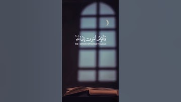 فستذكرون ما اقول لكم |سورة غافر| مشاري بن راشد العفاسي