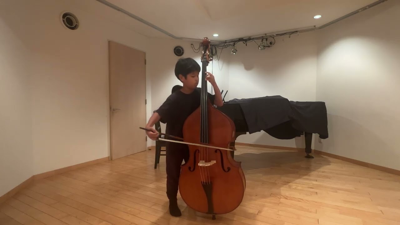 Wenzel Pichl (1741-1805)コントラバス協奏曲 ニ長調Double Bass