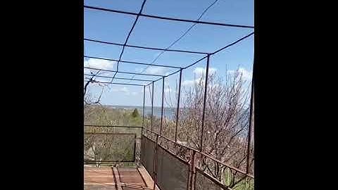 Продажа дачи Николаев