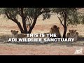 This is the adi wildlife sanctuary