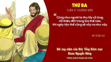Suy niệm Tin mừng - Thứ Ba tuần 17 Thường niên (Mt 13,36-43) - ĐTGM Giuse Nguyễn Năng