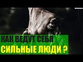 Как ведут себя морально сильные люди?