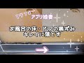 【風呂掃除】キッチンハイター、１００均こげとりスポンジ、サンポールでお風呂のカビ黒ずみをキレイに落とす/アラフォーアプリ婚妻　＃ぐで妻 #お風呂のカビ #お風呂の黒ずみ