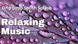 Drip Drop Splish Splash: Study music, Sleep music, Relaxing music