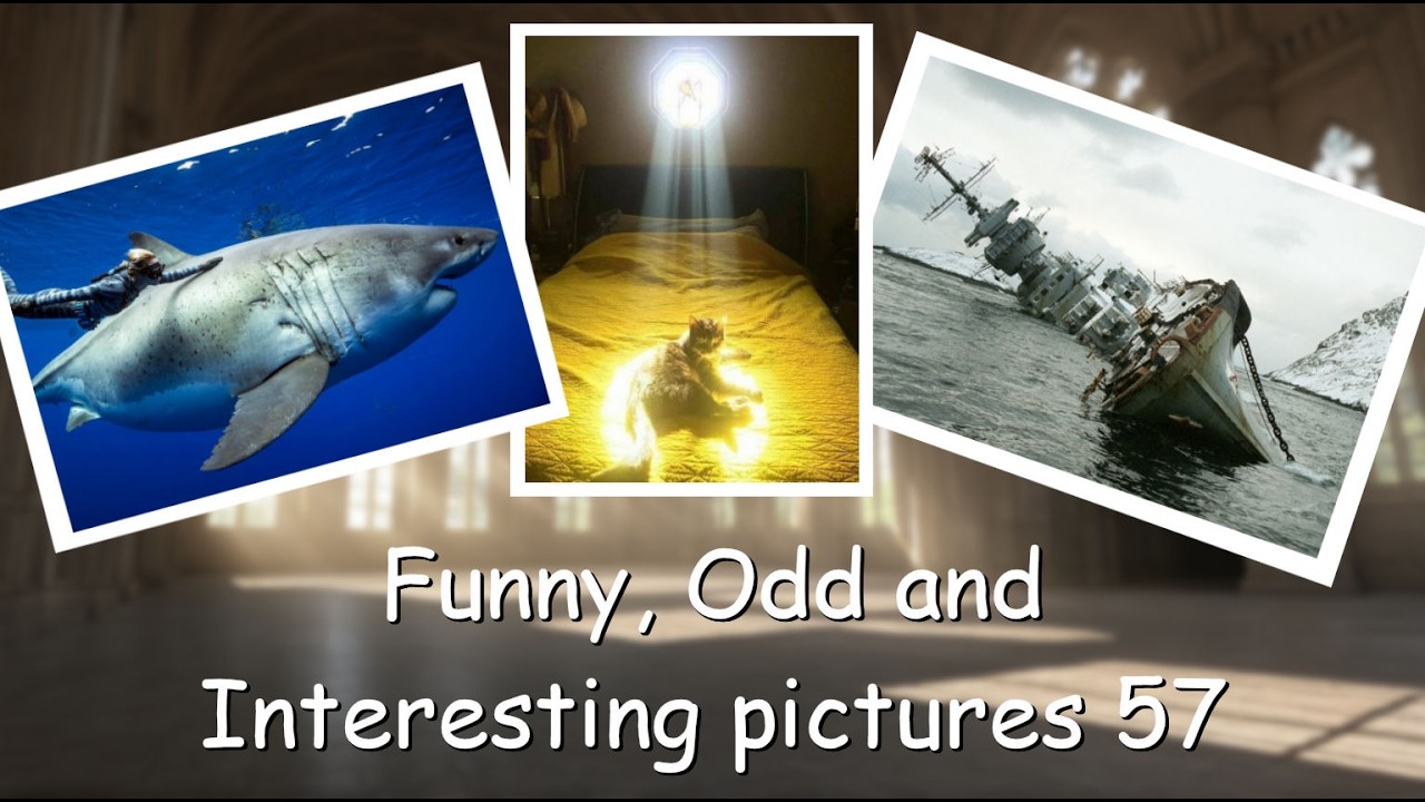 Funny, Odd, Interesting Pictures Video 57