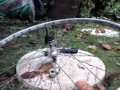 bike freewheel removal without tools