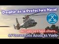 Dauphin de la @prefecturanavalar , pasajes a baja altura en la 44°Convención Anual en Vuelo
