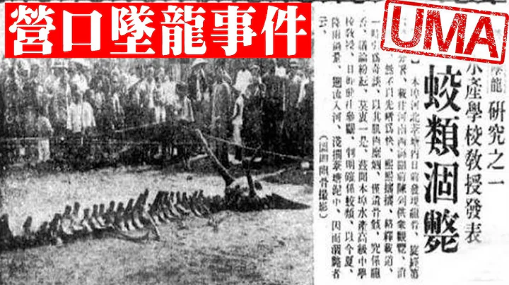 【UMA檔案】「龍」或許真的存在，1934年「營口墜龍事件」，東方龍的起源與可能性 - 天天要聞