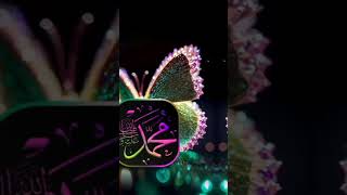 muhammad nabina slowed reverb vocals only      muhammad nabina beautiful Naat ❤️ #islamicmusic