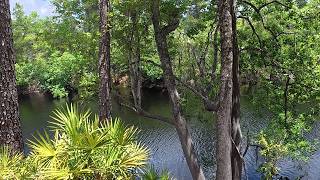 Big Shoals State Park | River Trails and Summer Rain